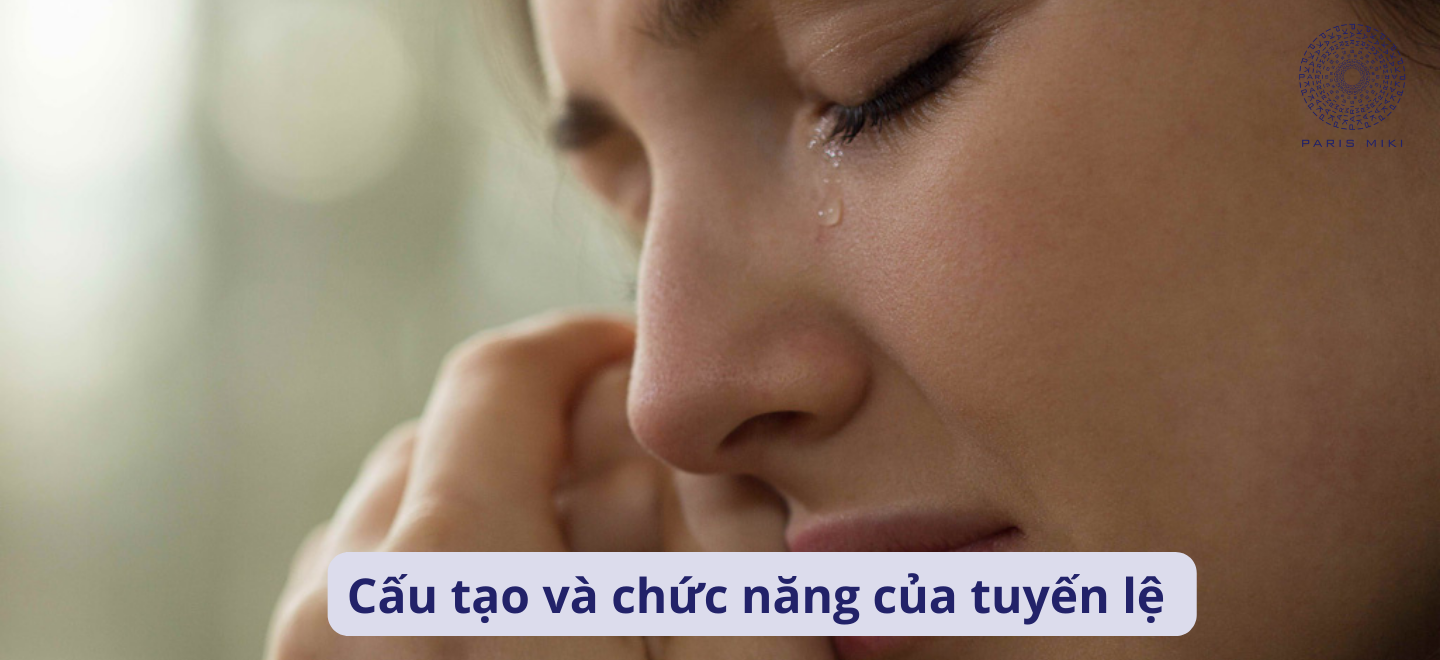Cấu tạo và chức năng của tuyến lệ 