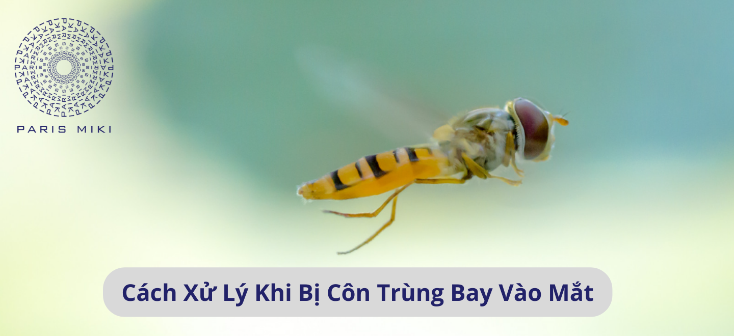 Cách xử lý khi bị côn trùng bay vào mắt